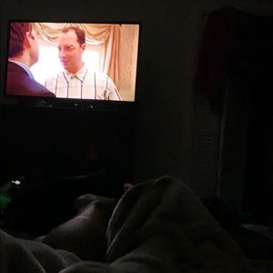 Meet your Posher, Daisy